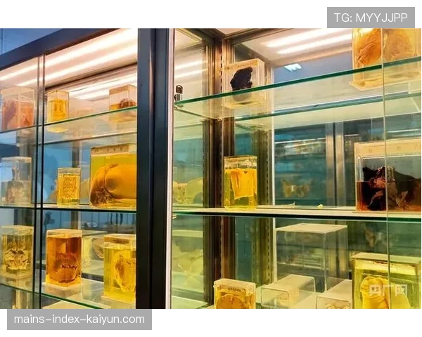 顶级法医人类学家的考据:他是如何通过骨骼特征还原生物信息的